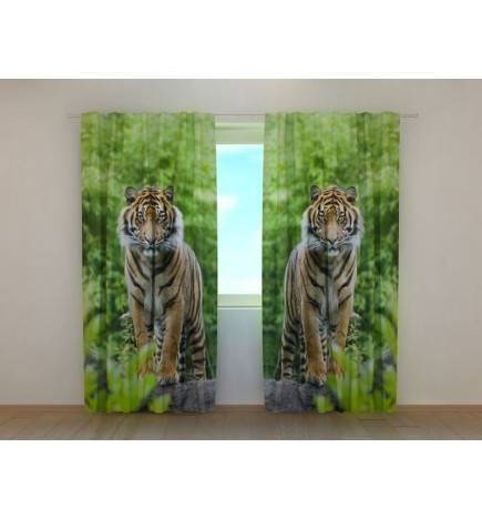 0,00 € Räätälöity teltta - kahdella nuorella tiikereillä