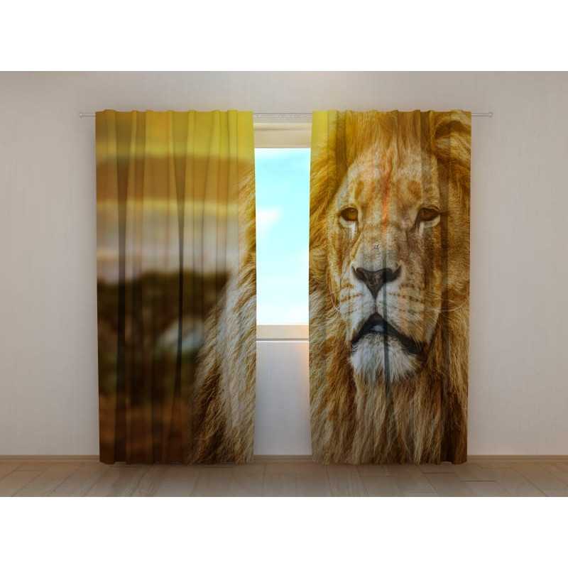 0,00 €Tenda personalizada - com um grande leão