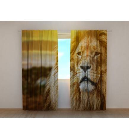 Custom tent - with a large lion