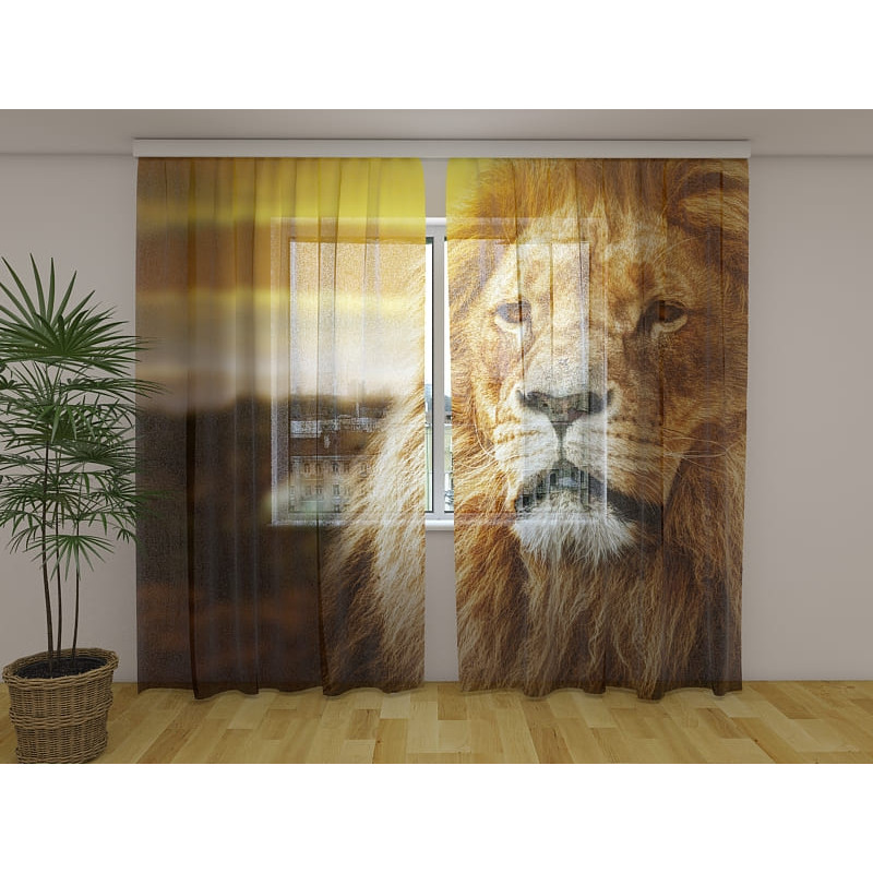 0,00 €Tenda personalizada - com um grande leão