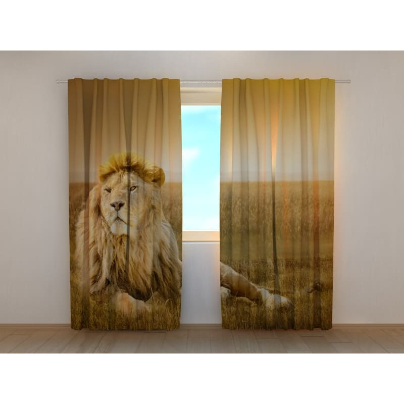 0,00 € Custom tent - featuring the king of the jungle