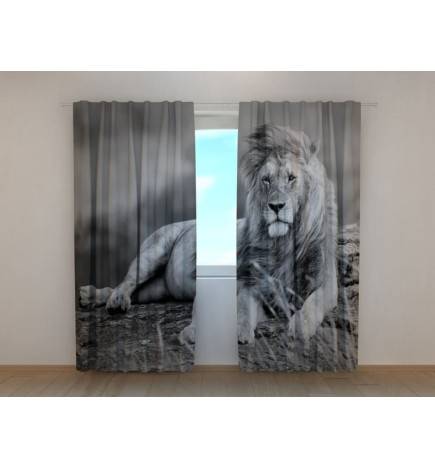 0,00 € Custom curtain - with a black and white lion