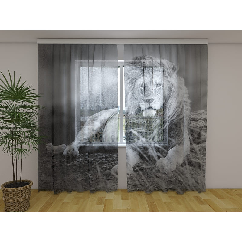 0,00 € Gordijn op maat - met een zwart-witte leeuw