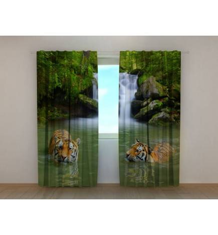 Aangepaste tent - met twee badende tijgers