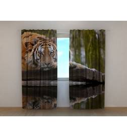 0,00 € Räätälöity teltta, jossa on bengalitiikeri