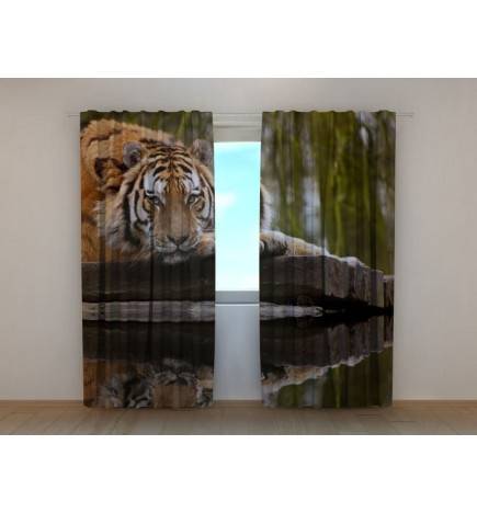 0,00 € Cort personalizat - cu un tigru bengal