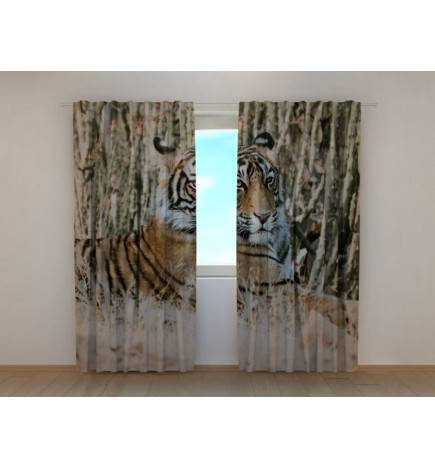 0,00 €Rideau personnalisé - avec un tigre majestueux