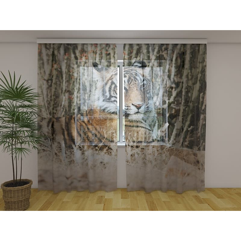 0,00 € Personalized curtain - with a majestic tiger