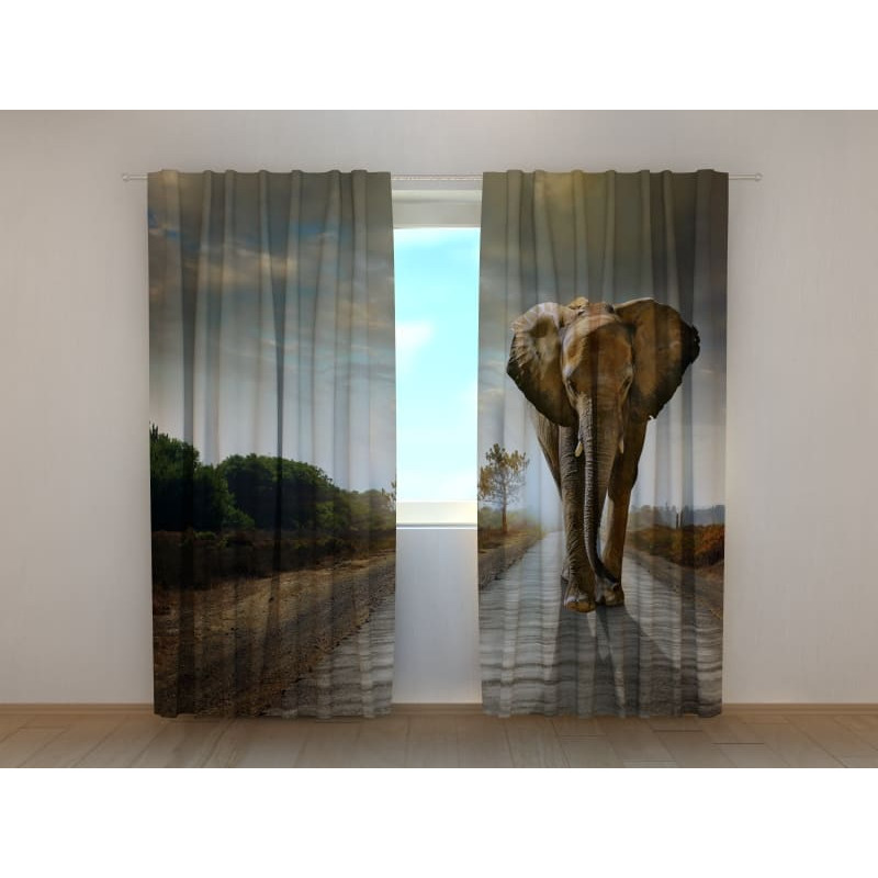 0,00 € Šotor po meri - s hodečim slonom