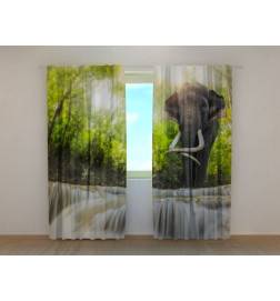 0,00 € Mukautettu teltta - jossa on norsu metsässä