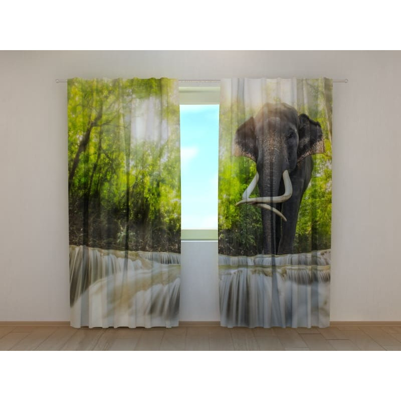 0,00 € Custom Tent - featuring an elephant in the forest