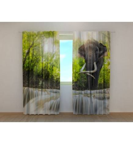 0,00 € Carpa personalizada: con un elefante en el bosque