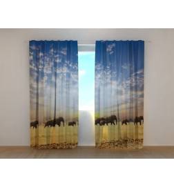 0,00 € Räätälöity teltta - norsun kanssa savannilla