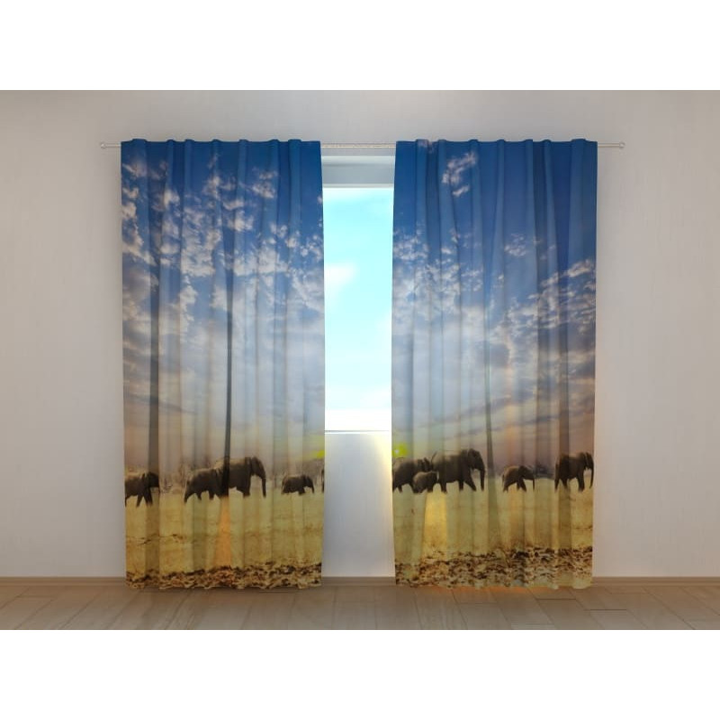 0,00 €Tente sur mesure - avec un éléphant dans la savane