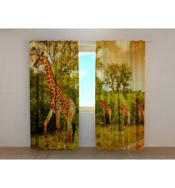 0,00 €Tenda personalizada - com girafas