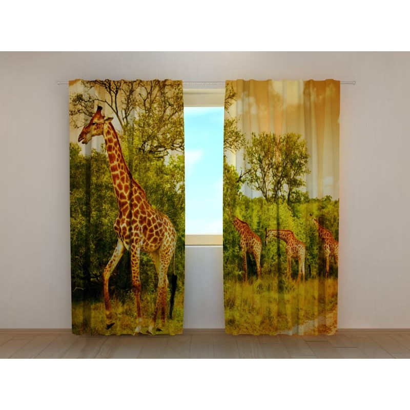 0,00 € Cort personalizat - cu girafe 0,00 € Cort personalizat - cu girafe