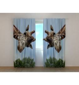 Tenda personalizzata - con due giraffe molto curiose