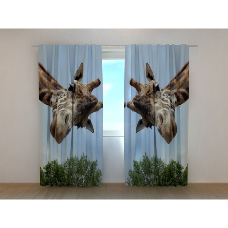 0,00 € Custom tent - featuring two very curious giraffes
