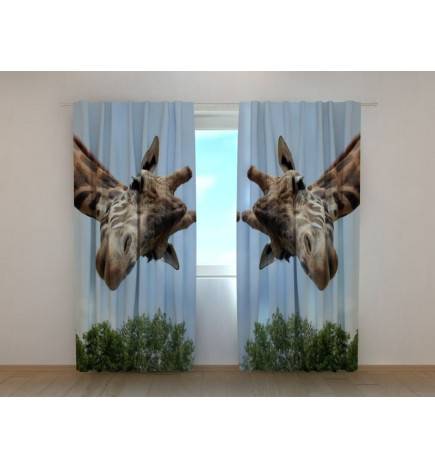 Custom tent - featuring two very curious giraffes