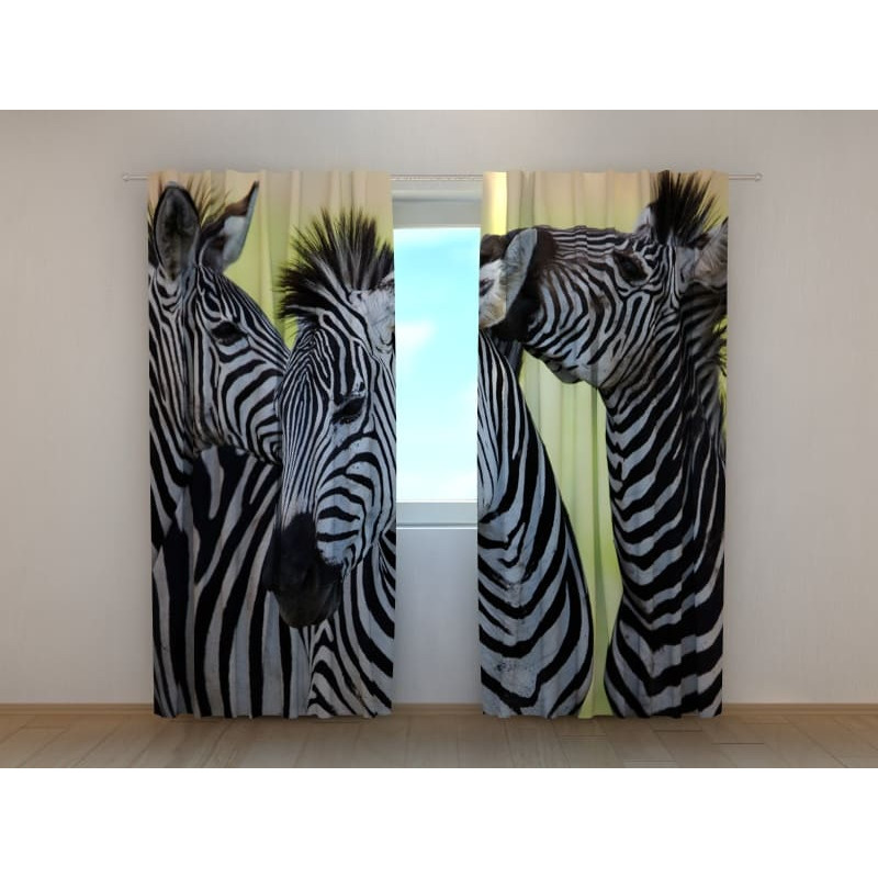 0,00 € Custom tent - with three chattering zebras