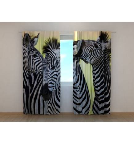 Individualizuota palapinė – su trimis šnekančiais zebrais