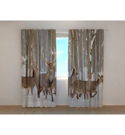 0,00 € Kohandatud telk – hirvedega lumes