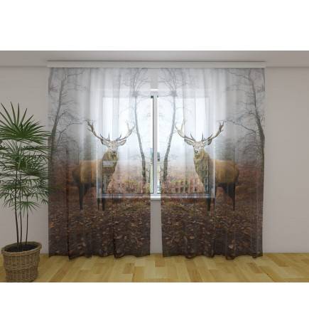 Maßgeschneidertes Zelt – mit 2 Hirschen, die für ein Selfie posieren