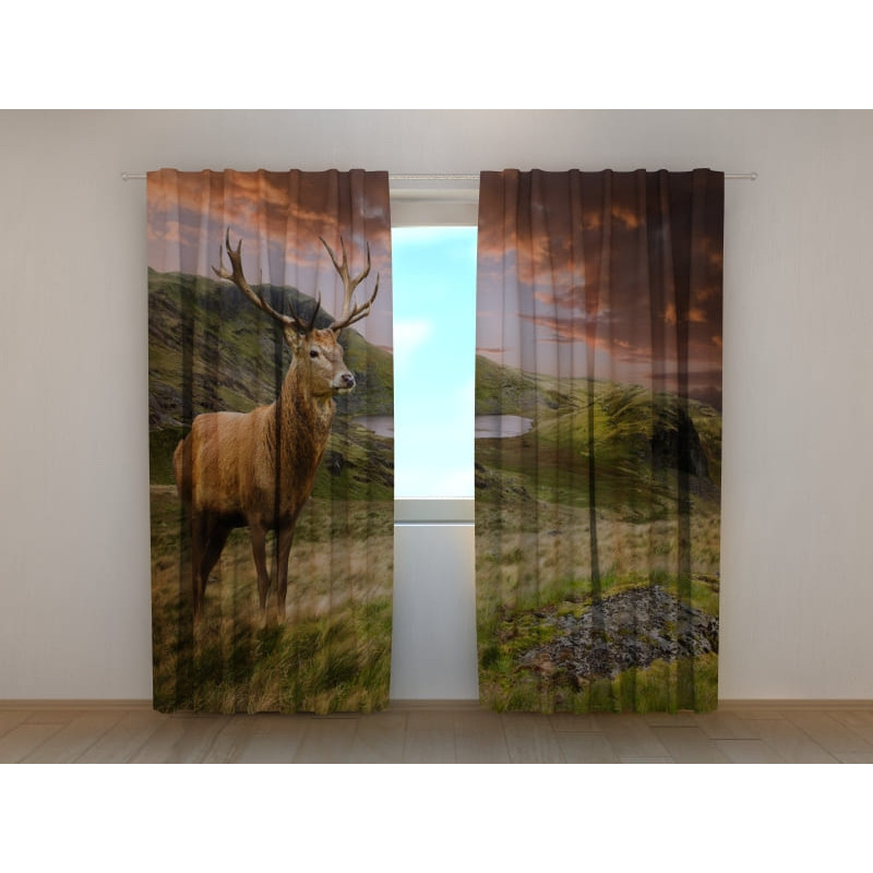 0,00 € Cort personalizat - cu un cerb de munte