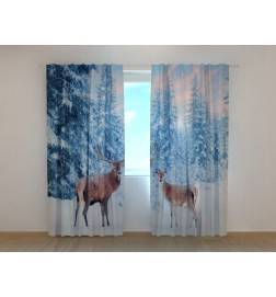 0,00 € Maßgeschneidertes Zelt – mit Hochgebirgshirsch