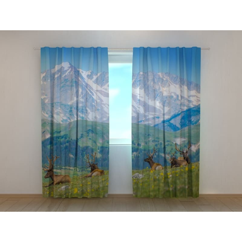 0,00 €Tenda personalizada - com veados nas montanhas