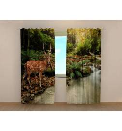 0,00 € Maßgeschneidertes Zelt – mit dem Hirsch vor dem Wasserfall