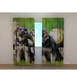 0,00 € Kohandatud telk – kahe saksa lambakoera kutsikaga