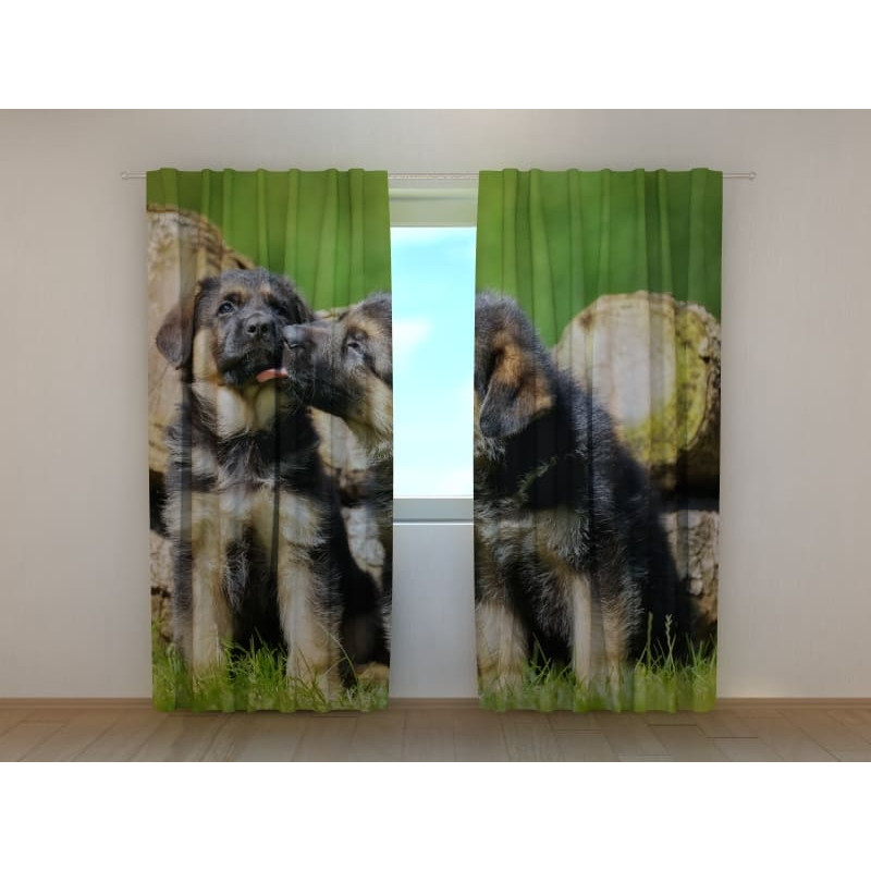 0,00 € Aangepaste tent - met twee puppy's van de Duitse herder