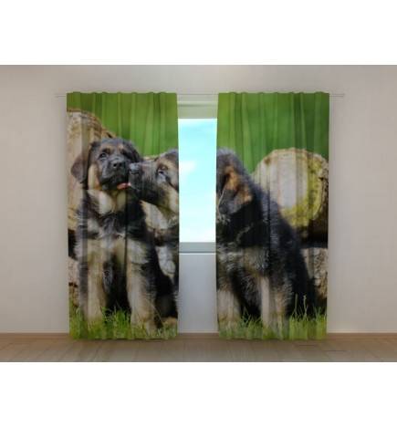 1,00 €Tenda personalizzata - con due cuccioli di pastore tedesco
