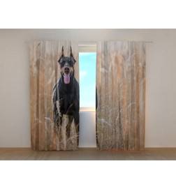 1,00 €Tenda personalizzata - con i cani contadfini - pinsher