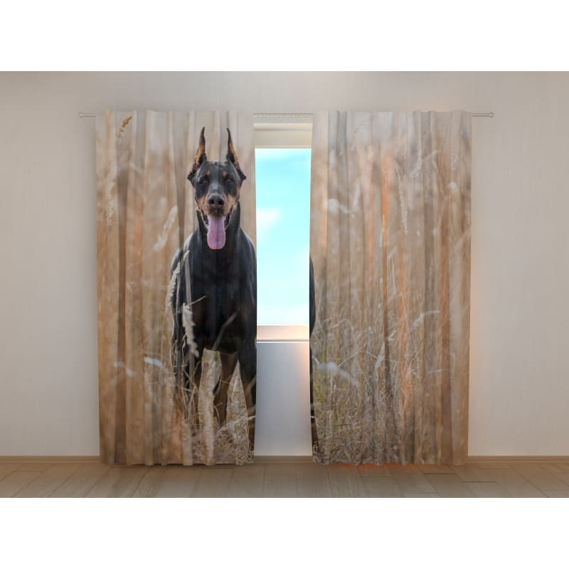 0,00 € Tent op maat - met boerenhonden - pinscher