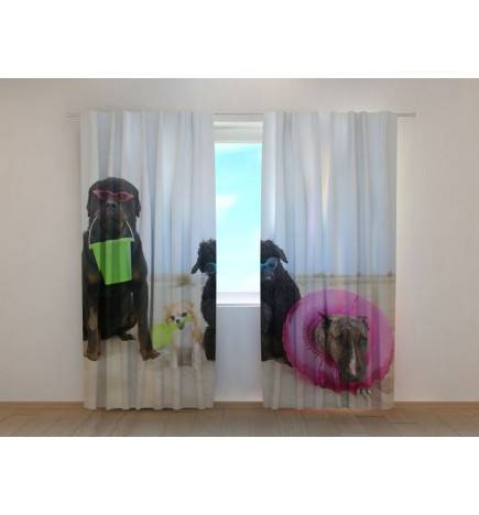 0,00 € Personalized curtain - with two dogs on vacation