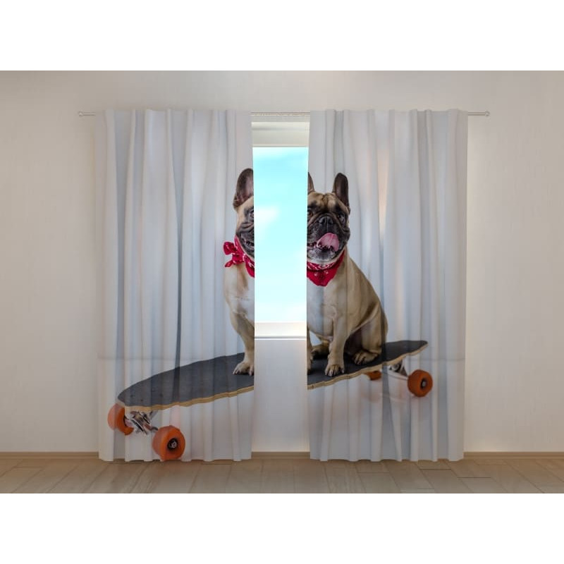 0,00 € Henkilökohtainen verho - koiran opas - Bulldog