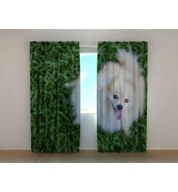 0,00 € Personalized curtain - with a white dog