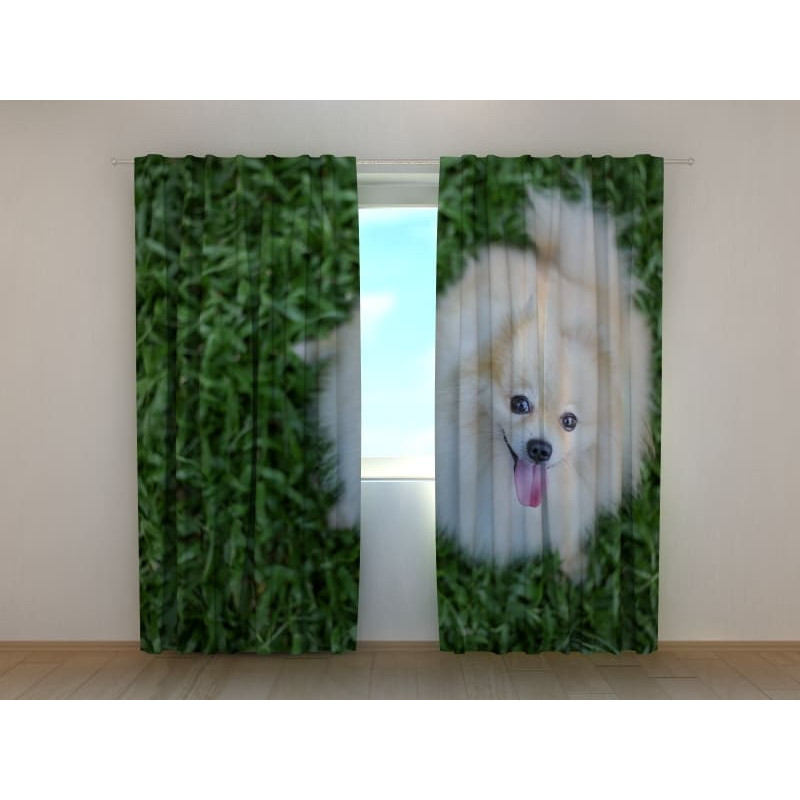 0,00 €Barraca personalizada - com um cachorrinho branco 0,00 €Barraca personalizada - com um cachorrinho branco