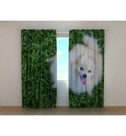 0,00 € Carpa personalizada - con un perrito blanco