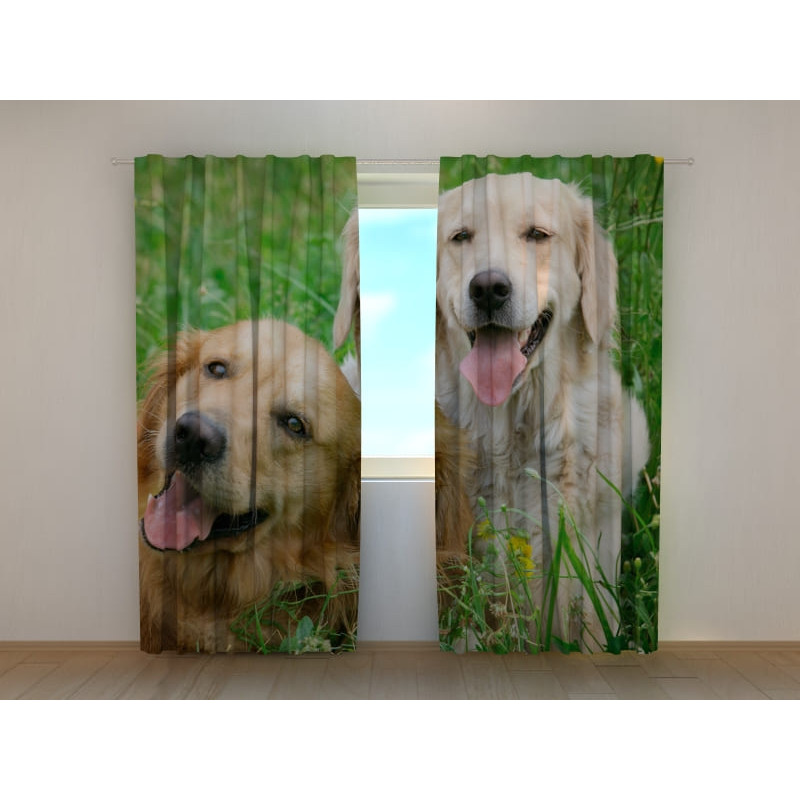 0,00 € Custom tent - with two labradors