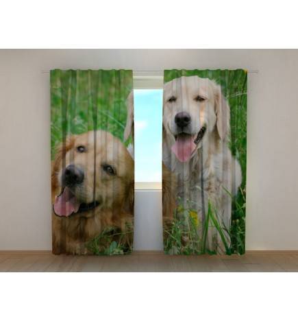 0,00 € Custom tent - with two labradors