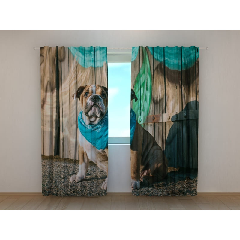 0,00 € Maßgeschneiderter Vorhang – mit einem Bulldoggenwelpen