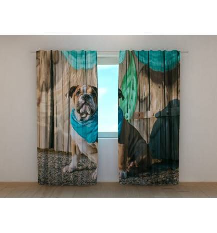 0,00 € Zavesa po meri - s kužkom buldoga