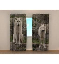 0,00 € Custom tent - with two white wolves