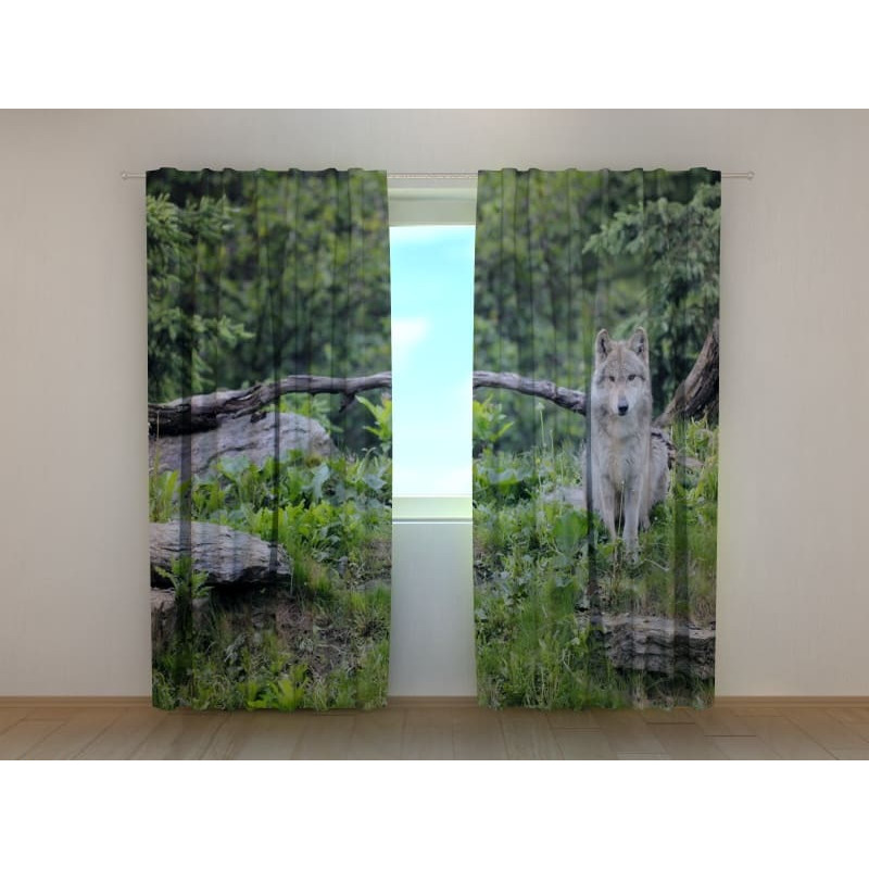 0,00 € Kohandatud telk – hunt metsas