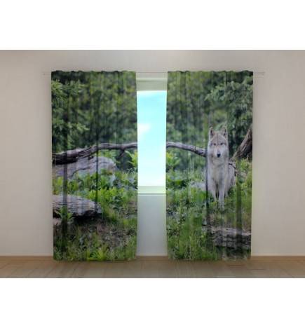 0,00 € Pielāgota telts — vilks mežā