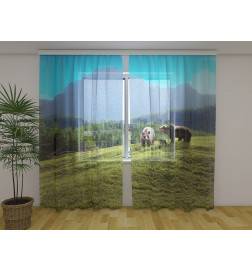 Cort personalizat - cu o familie de urși