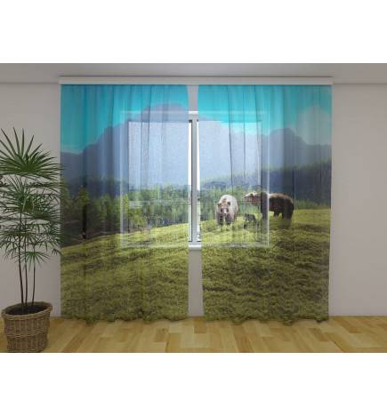 Cort personalizat - cu o familie de urși